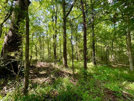 Property in Lincoln County, Mississippi