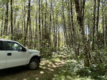Property in Clatsop County, Oregon