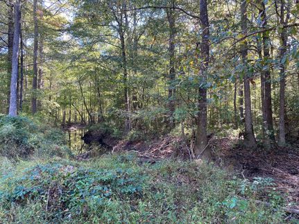 Property for sale in Leake County, Mississippi