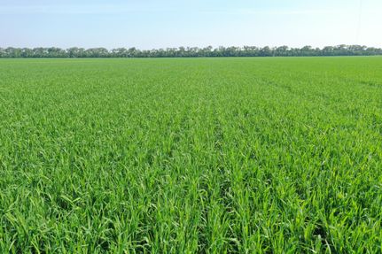 Property in Traill County, North Dakota