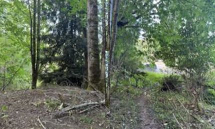 Property in Clallam County, Washington