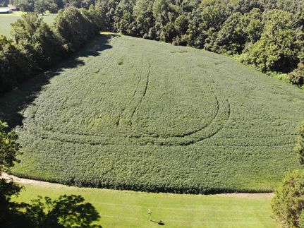 Property in Hardeman County, Tennessee