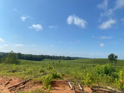 Property in Twiggs County, Georgia