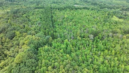 Property in Onondaga County, New York