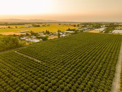 Property in Linn County, Oregon