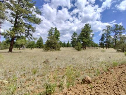 Property in McKinley County, New Mexico