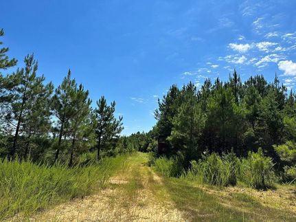 Property in Lunenburg County, Virginia