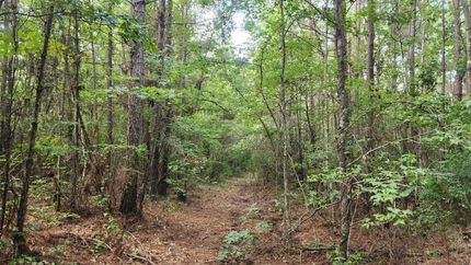 Property in Dallas County, Arkansas