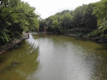 Property in Livingston County, Illinois