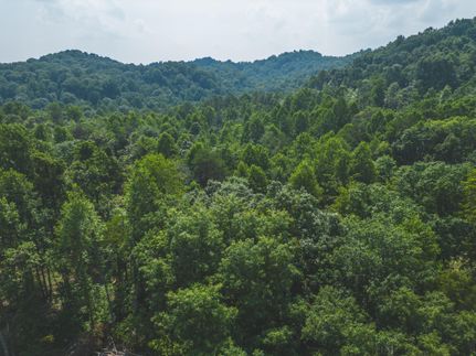 Property in Hawkins County, Tennessee