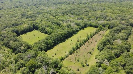 Property for sale in Assumption Parish, Louisiana