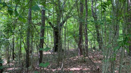 Property in Hale County, Alabama