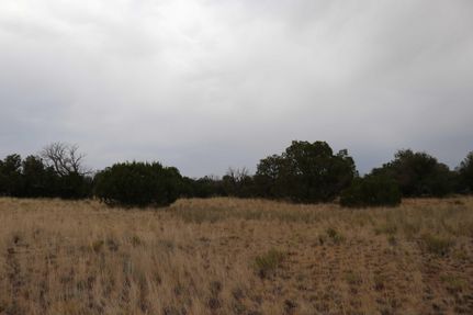 Property in Apache County, Arizona