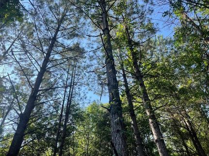 Property in Coosa County, Alabama