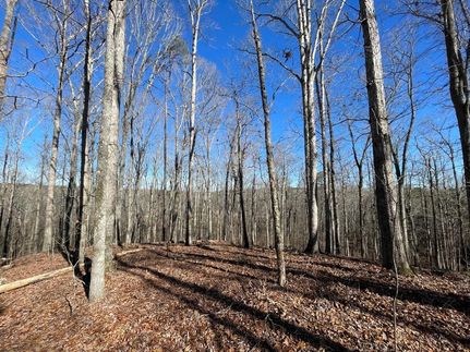 Property in Coweta County, Georgia