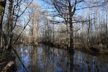 Property in Lonoke County, Arkansas