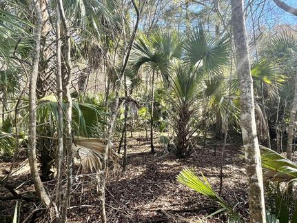 Property in Dixie County, Florida