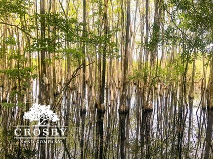 Property in Liberty County, Georgia