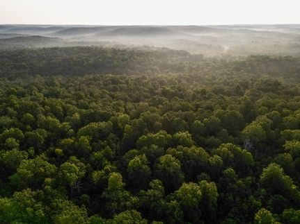 Property in Sharp County, Arkansas