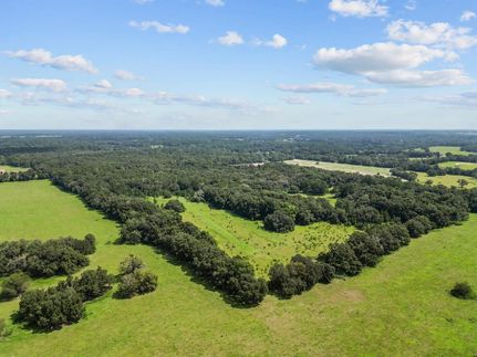 Undeveloped Land for sale in Levy County, Florida