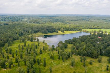 Property in Tuscaloosa County, Alabama