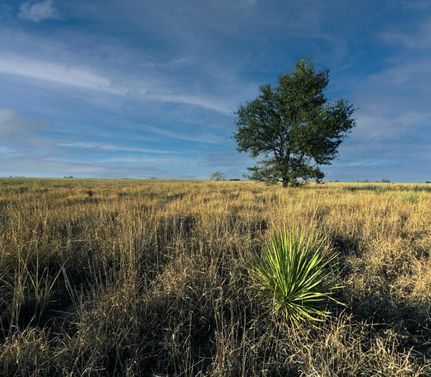 Property in Lamb County, Texas