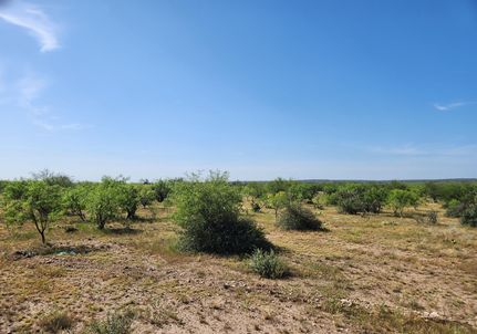 Property for sale in Menard County, Texas
