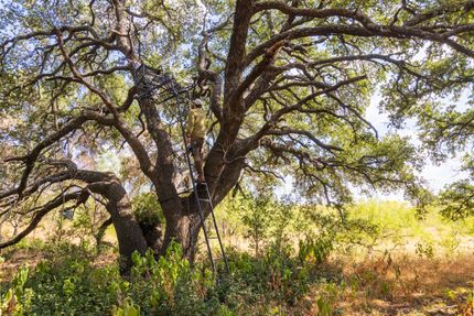 Property in Mills County, Texas