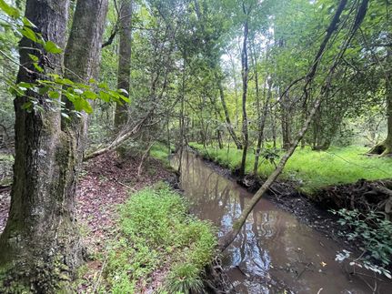 Property in Beaufort County, North Carolina