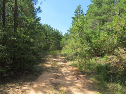Property in Webster County, Georgia
