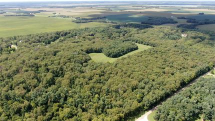 Property in Mason County, Illinois