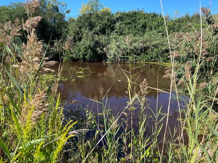 Property in Vermilion County, Illinois