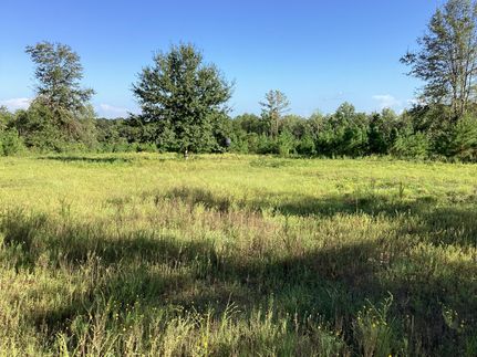 Property for sale in Crenshaw County, Alabama