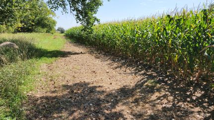 Property in Roberts County, South Dakota