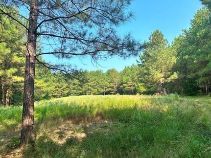 Property in Lauderdale County, Mississippi