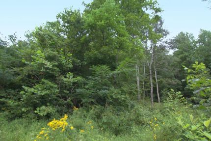 Property in Giles County, Tennessee