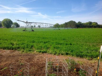 Property in Umatilla County, Oregon