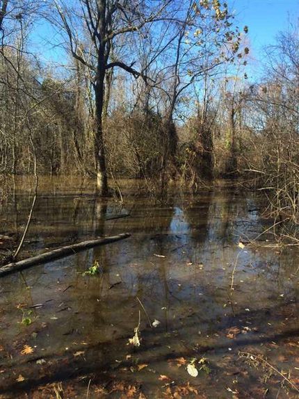 Property in Greene County, Arkansas