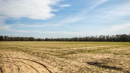 Property in Dale County, Alabama