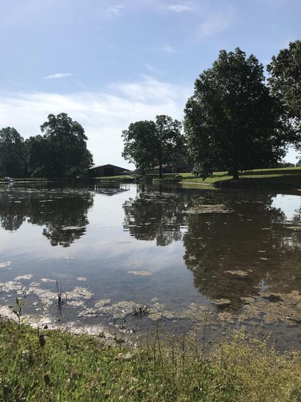 Property in Henry County, Tennessee