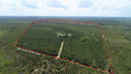 Property in Brantley County, Georgia