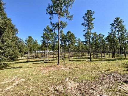 Property in Madison County, Florida