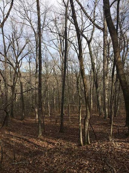 Property in Sharp County, Arkansas