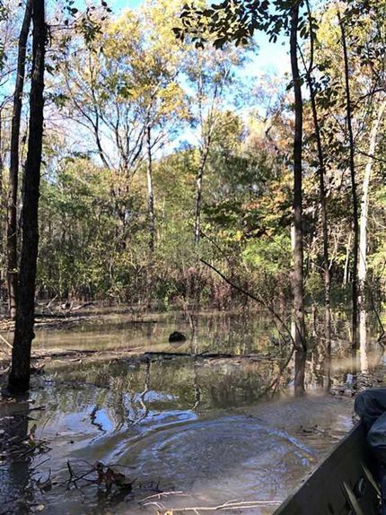 Property in Jackson County, Arkansas