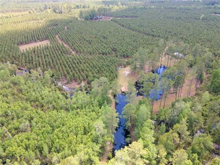 Property in Clinch County, Georgia