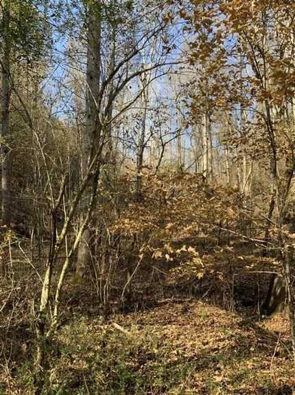 Property in Greene County, Tennessee