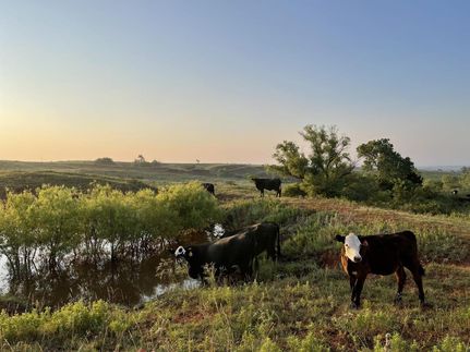Property in Roger Mills County, Oklahoma