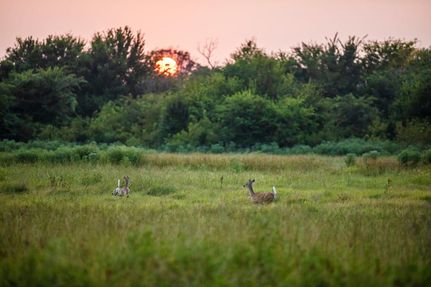 Property in Henderson County, Texas