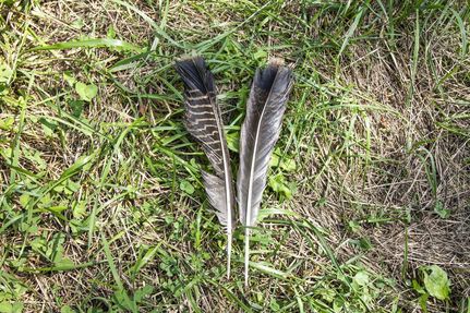 Property in Columbiana County, Ohio