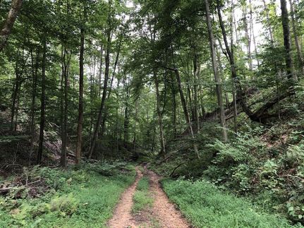 Property in Clay County, West Virginia